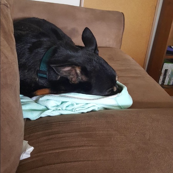 Welcome, Mika!! - Picture 6 of 8